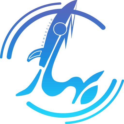 Bahareseo Logo Design