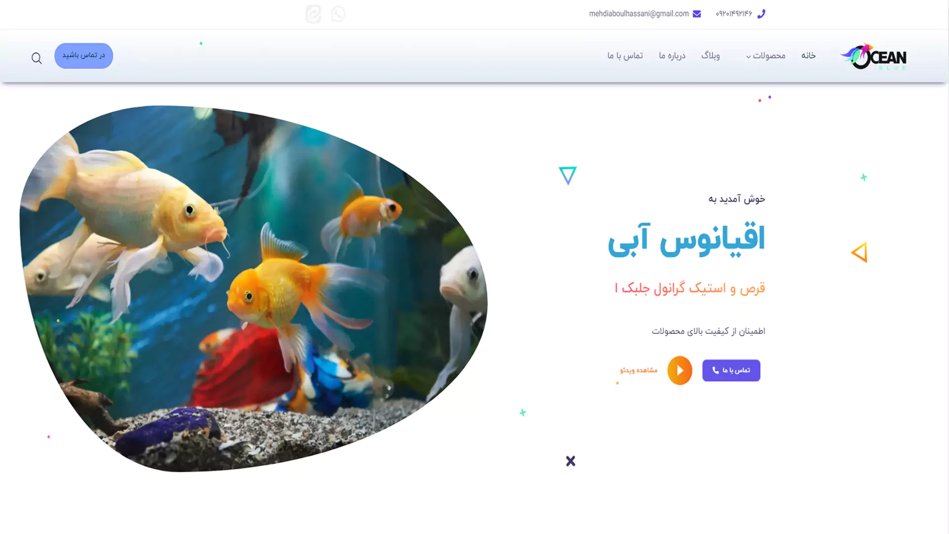 Website design and SEO of the Blue Ocean website